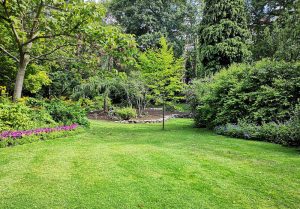 Optimiser l'expérience du jardin à Champoly